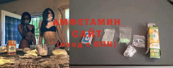 сатива Сясьстрой