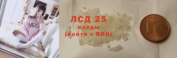ГАЛЛЮЦИНОГЕННЫЕ ГРИБЫ Тавда
