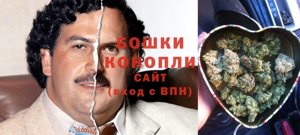 ГАЛЛЮЦИНОГЕННЫЕ ГРИБЫ Тавда