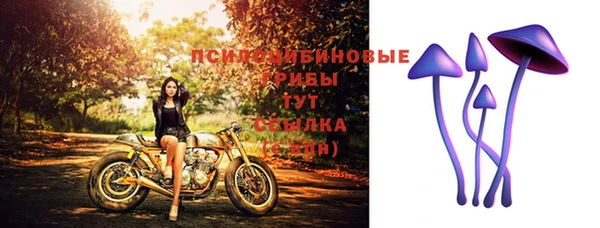 MDMA Premium VHQ Тайга