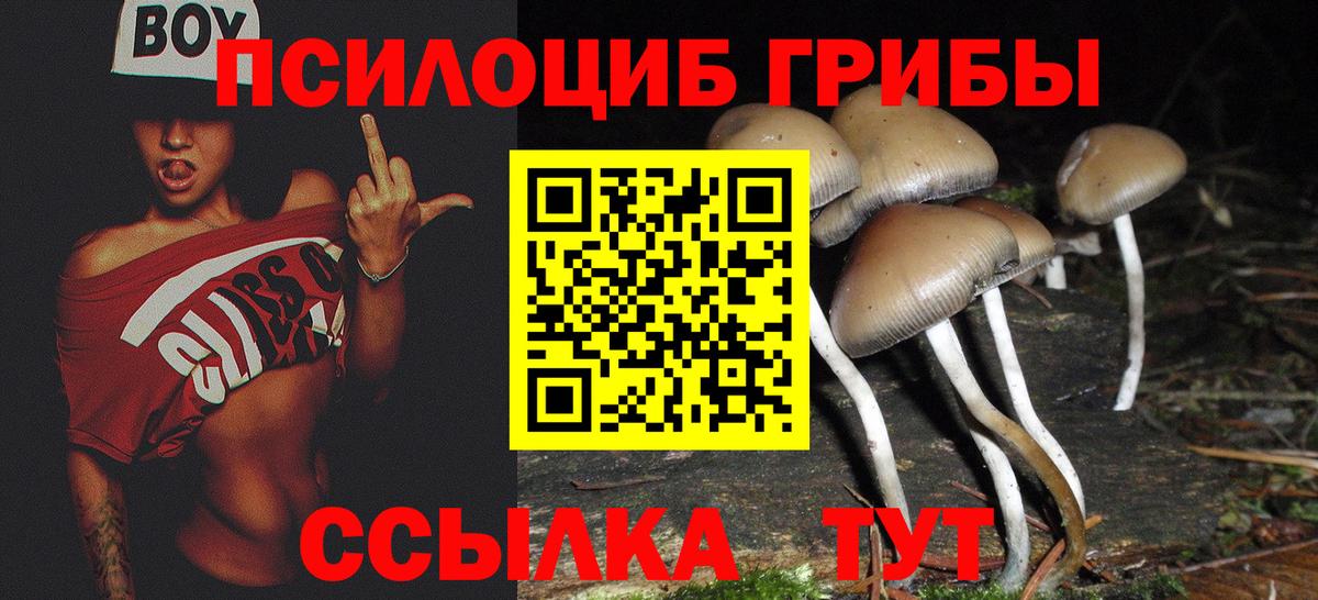 Ялуторовск  Галлюциногенные грибы мухоморы  Вход с VPN 