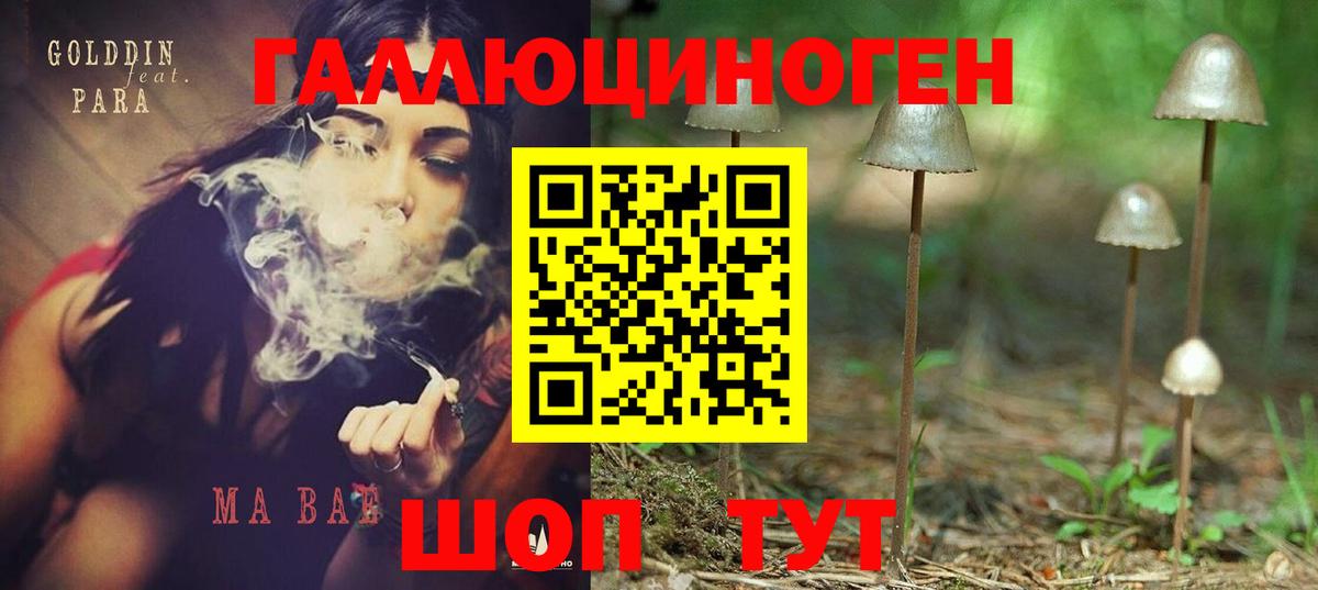 Псилоцибиновые грибы Magic Shrooms Ялуторовск